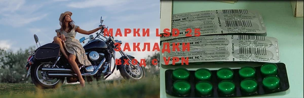 шишки Алзамай