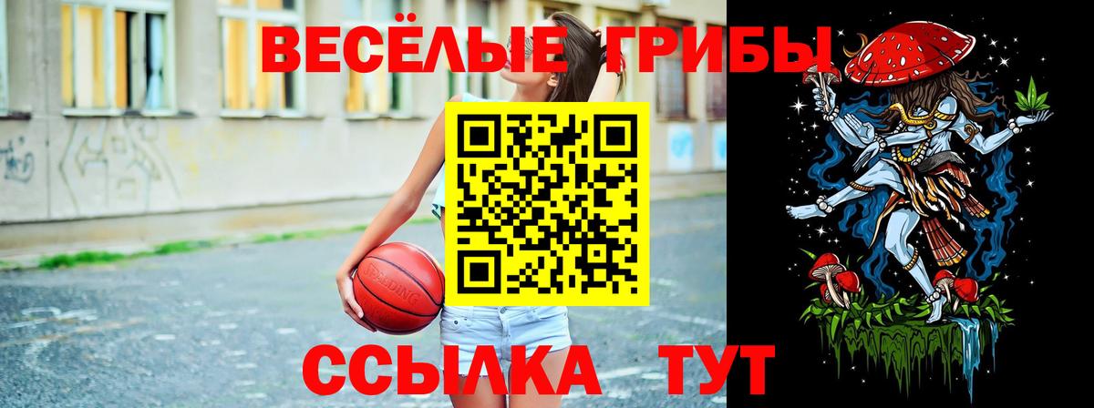 Прохладный  Псилоцибиновые грибы прущие грибы  купить   Вход с VPN 